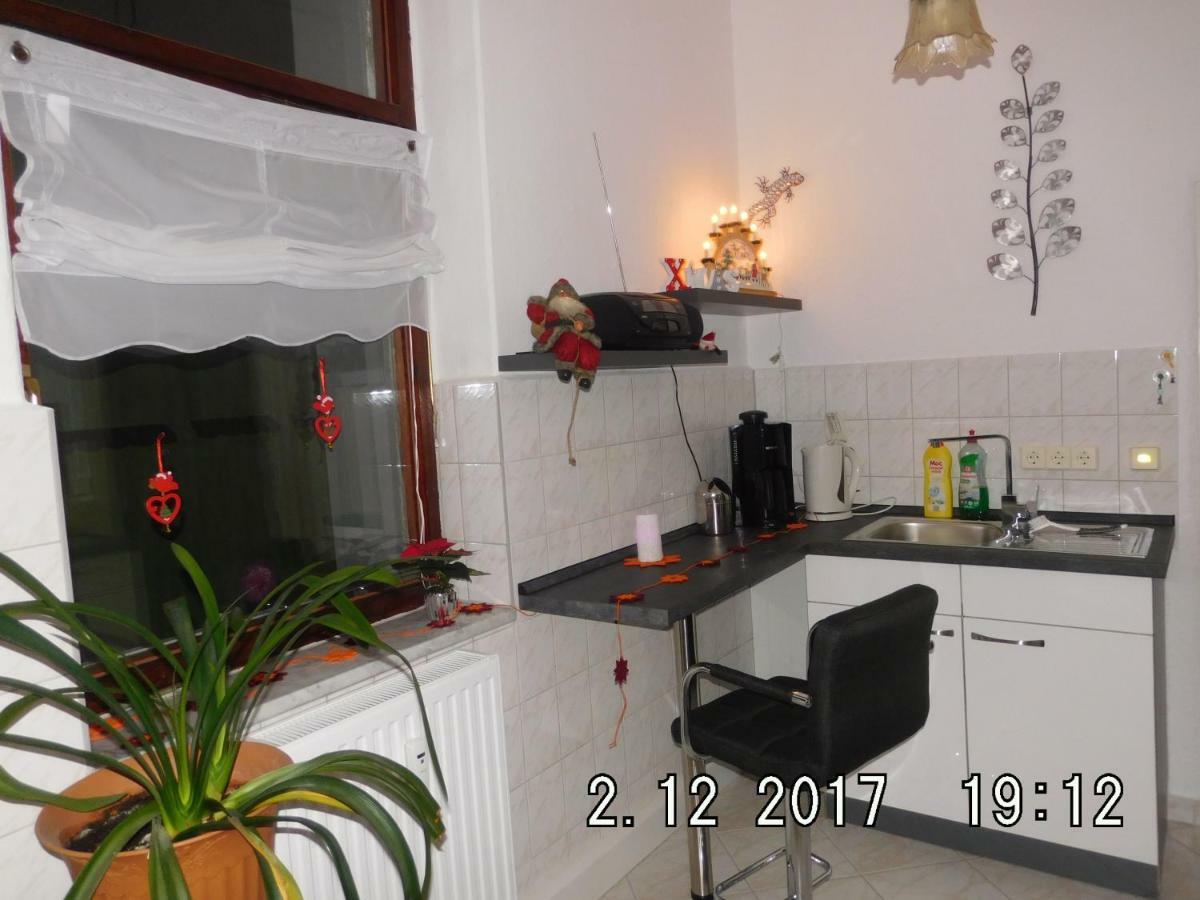 Ferienwohnung Am Schloss Торгау Екстер'єр фото